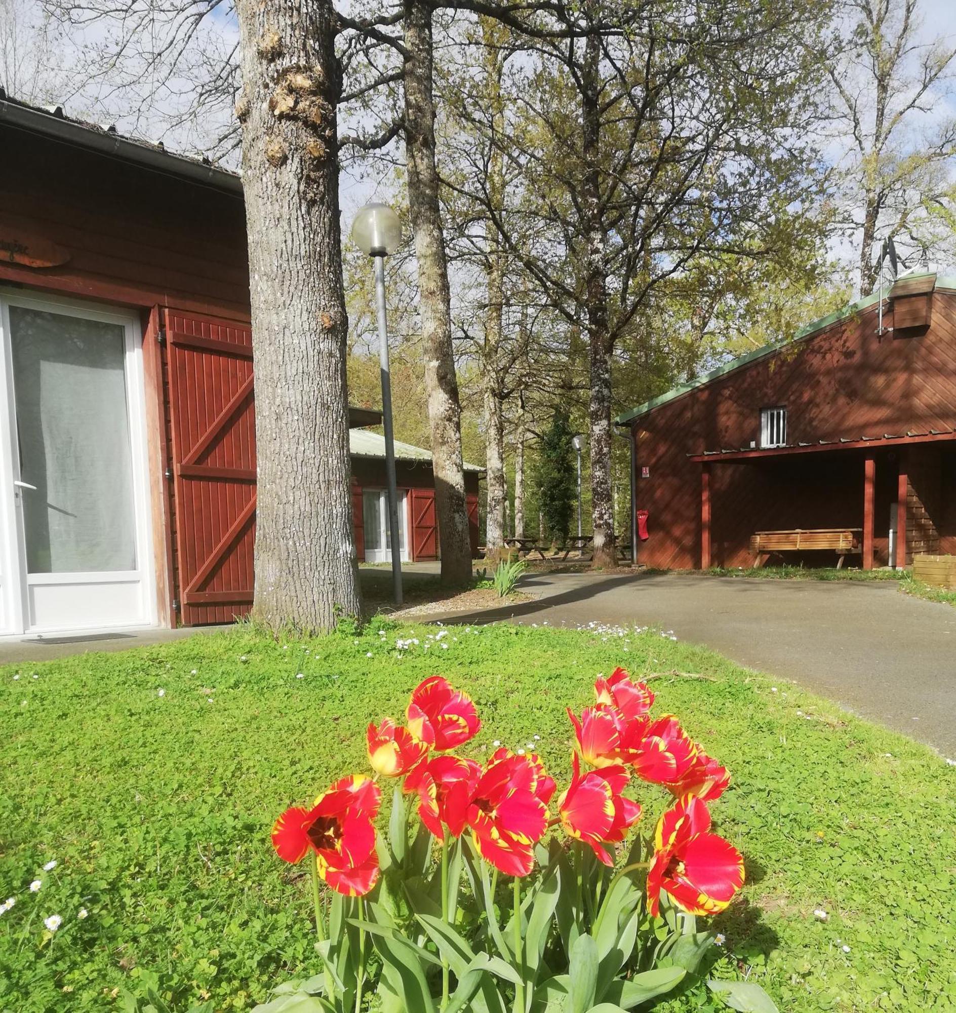 Chalets Mouliere Evasion Montamisé Exterior foto